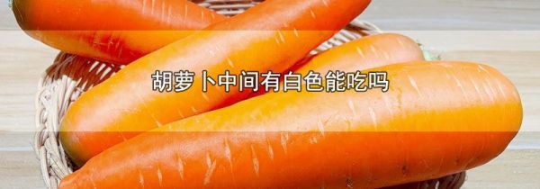 胡萝卜中间有白色能吃吗