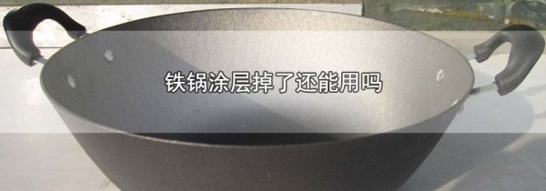 铁锅涂层掉了还能用吗