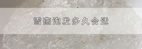 雪燕泡发多久合适