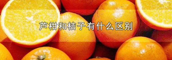芦柑和桔子有什么区别