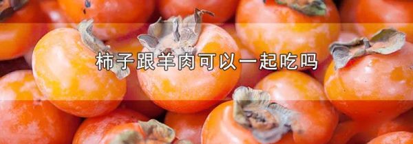 柿子跟羊肉可以一起吃吗