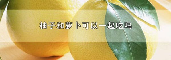 柚子和萝卜可以一起吃吗