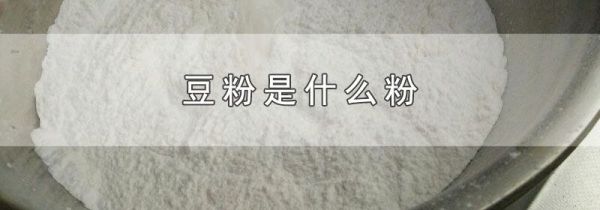 豆粉是什么粉