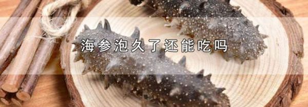 海参泡久了还能吃吗