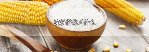 淀粉俗称叫什么