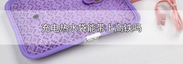 充电热水袋能带上高铁吗