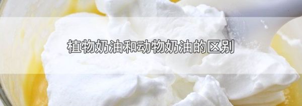 植物奶油和动物奶油的区别