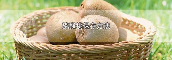 猕猴桃保存方法