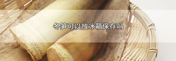 冬笋可以放冰箱保存吗