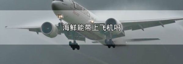 海鲜能带上飞机吗
