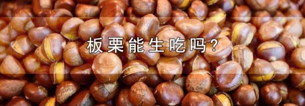 板栗能生吃吗?
