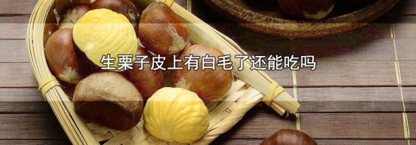 生栗子皮上有白毛了还能吃吗
