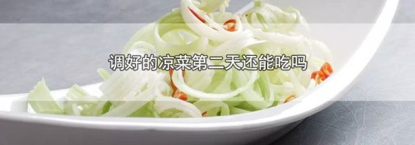 调好的凉菜第二天还能吃吗