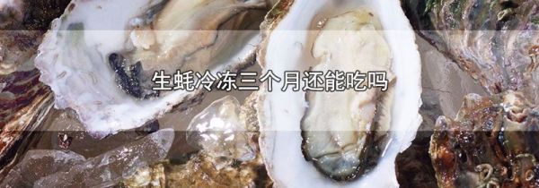 生蚝冷冻三个月还能吃吗