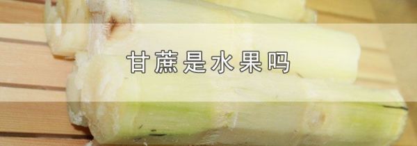 甘蔗是水果吗