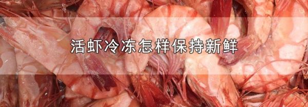 活虾冷冻怎样保持新鲜