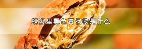 螃蟹里黑色膏状物是什么