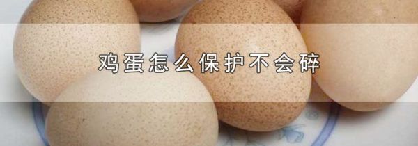 鸡蛋怎么保护不会碎