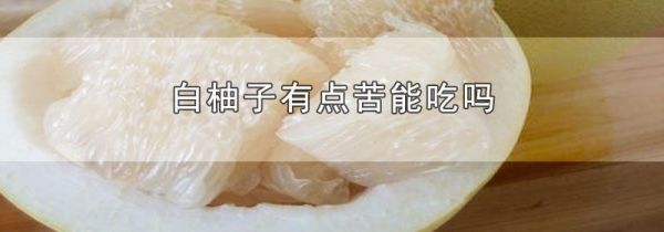 白柚子有点苦能吃吗