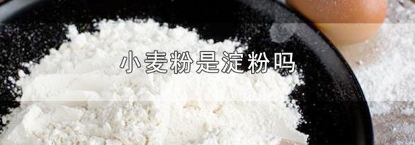小麦粉是淀粉吗