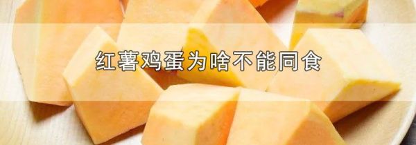 红薯鸡蛋为啥不能同食