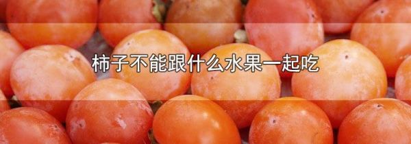 柿子不能跟什么水果一起吃