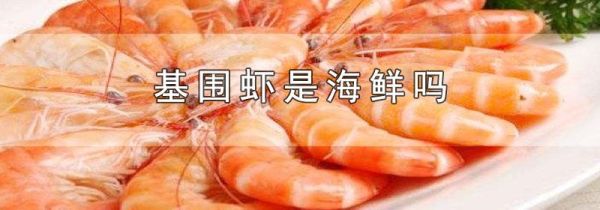 基围虾是海鲜吗