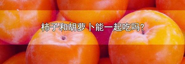 柿子和胡萝卜能一起吃吗?