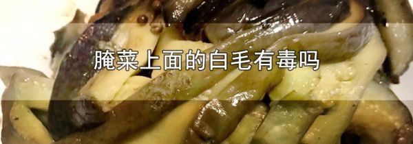 腌菜上面的白毛有毒吗