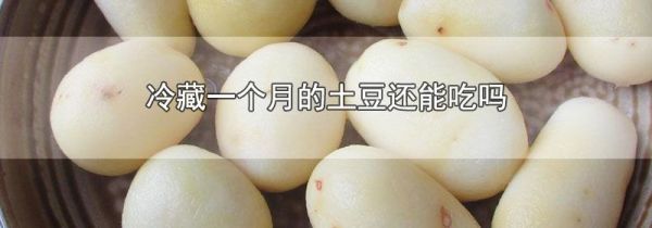 冷藏一个月的土豆还能吃吗