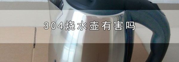 304烧水壶有害吗