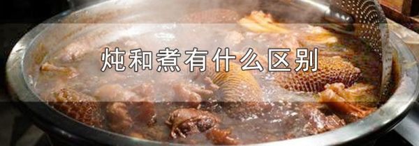 炖和煮有什么区别