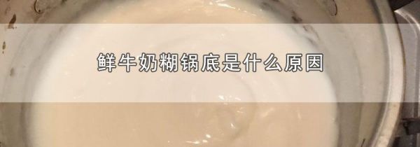 鲜牛奶糊锅底是什么原因