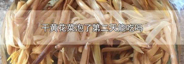 干黄花菜泡了第二天能吃吗
