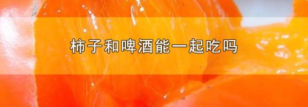 柿子和啤酒能一起吃吗