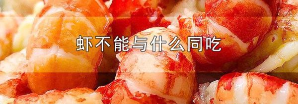 虾不能与什么同吃