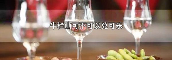 牛栏山可不可以兑可乐