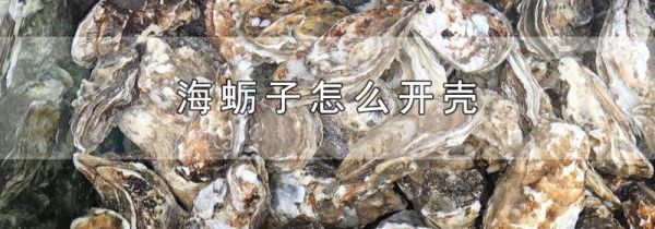 海蛎子怎么开壳