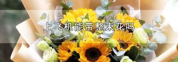 上飞机能带整束花吗