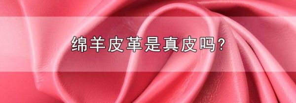 绵羊皮革是真皮吗?