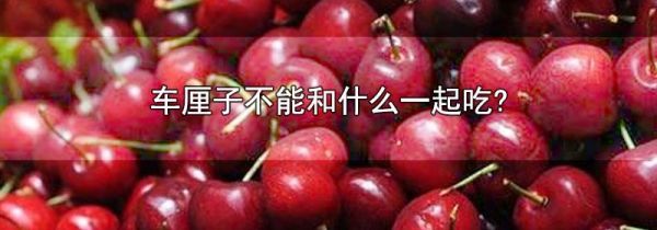 车厘子不能和什么一起吃?