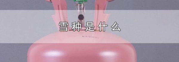 雪种是什么