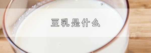 豆乳是什么