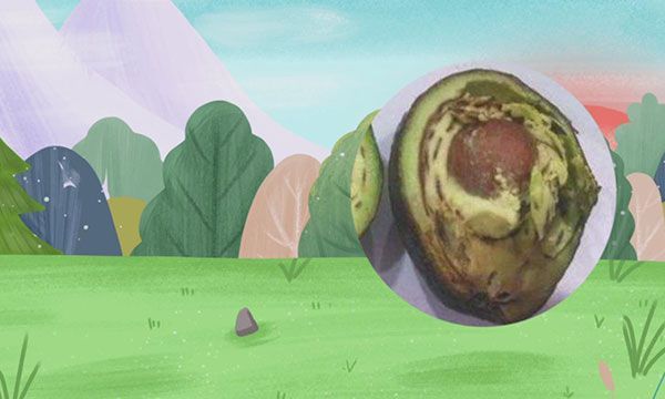 牛油果里面黑了还能吃吗