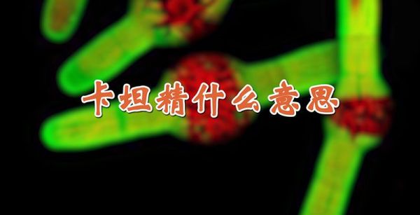 卡坦精什么意思