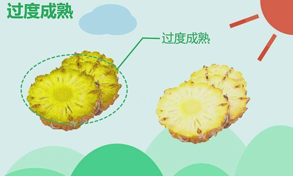 凤梨里面黑了还能吃吗