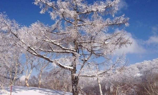 冬天夜长还是夜短