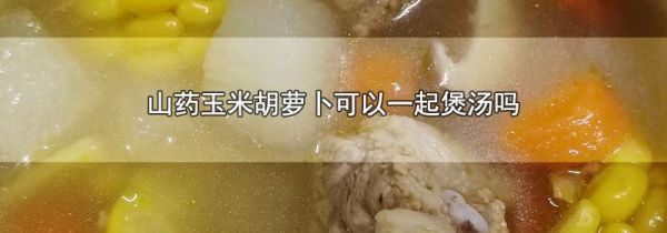 山药玉米胡萝卜可以一起煲汤吗