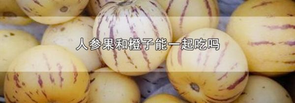 人参果和橙子能一起吃吗