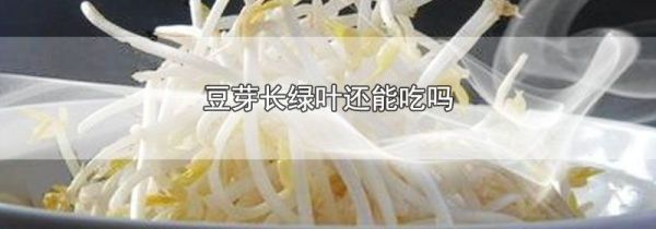 豆芽长绿叶还能吃吗